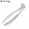 ODONTOMED2011 Pedo Extracting Forceps Dental Surgical Instruments Md3