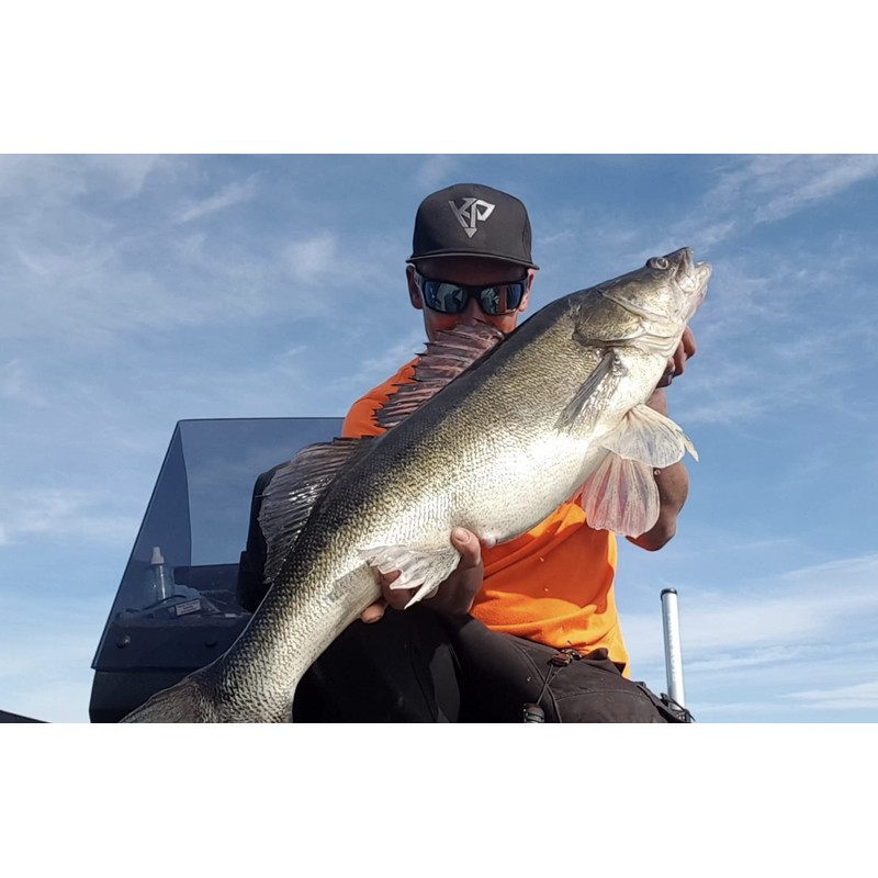 K.P Baits Skeleton Shad Rubber Fish, 3 Inches / 7.5