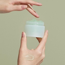 ONGREDIENTS Fresh Soothing Cream | Daily Moisturizing Cream | Niacinamide, Heartleaf, Panthenol, Hyaluronic Acid, Hydrating Face Moisturizer for Dry Skin | Vegan, Korean Skin Care 50ml / 1.69 fl Oz