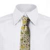 Ambesonne Necktie, Bumble Bee Ladybug Dots, 3.7", Khaki Green