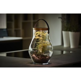Krinner Lumix Solar Powered Home Decoration Glass LED Display Jar, Bold, 13.5" - Use for Parties, Holiday Events, Home Decor, Seashells, Plants, Moss, or Collections