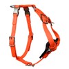 Redline K-9 All Weather Biothane Dog Harness (Medium, Orange)