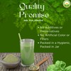 Basic Ayurveda Wheatgrass Meal Juice with No Added Sugar |