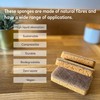 eplanita Natural Plant Based Scrub Sponges (12 Pack), Non-Scratch, Biodegradable