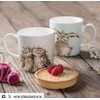 Wrendale Twits (Owl) Single Mug, Bone China Multi-Colour, 9.2 x