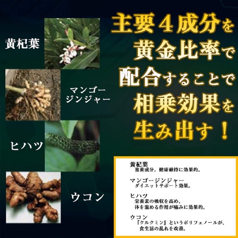 Japan Best Health Anti-Novin 60 Tablets