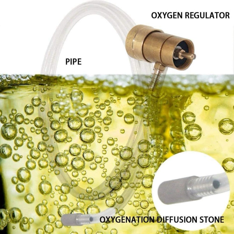 Oxygen Injection System Home Brew Oxygenation Kit Diffusion Stone
