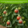 100 Stück Obstschutzbeutel, Netzabdeckungen mit Kordelzug Wiederverwendbare Schädlingsbarriere für Tomaten