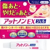 【第2類医薬品】アットノンEX ジェル 15g