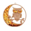 Raduly Suncatcher Amber in Birch Wood Owl and Moon Window