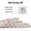 BTF-LIGHTING WS2812E ECO RGB Alloy Wires 5050SMD Individual Addressable 16.4FT