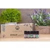 Nature's Aid Essential Oil Set