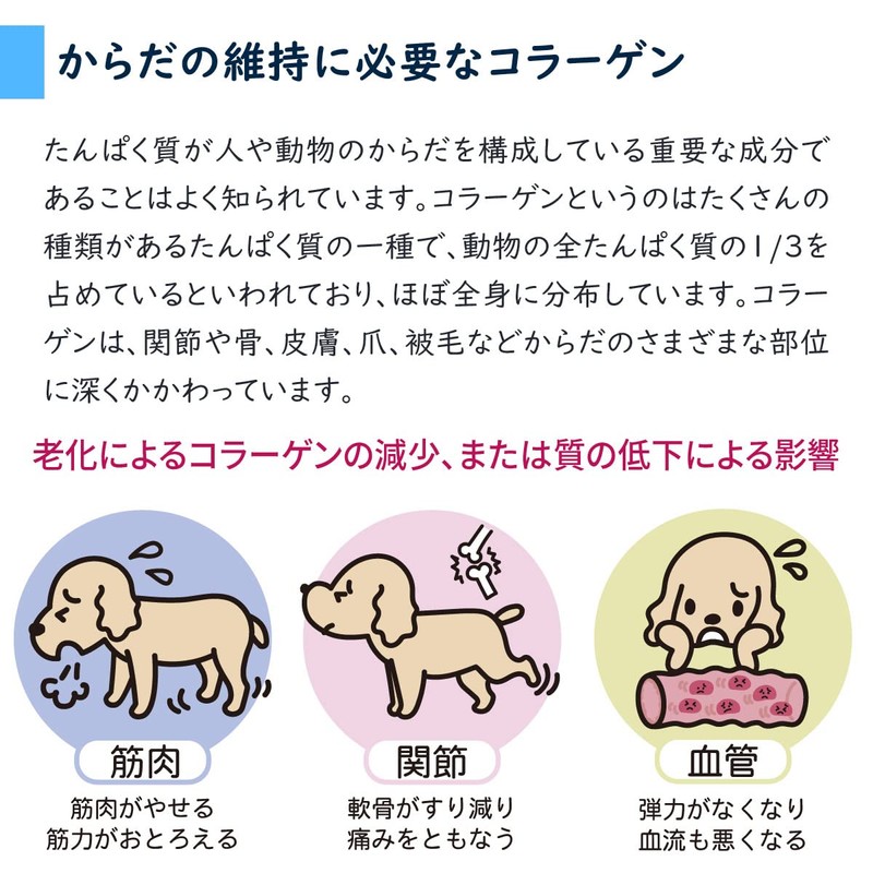 夢みるコラーゲン サプリメント 犬用 粉末 100g 国産 無添加 添加物不使用 保存料不使用 コラーゲンパウダー