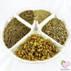 Food4Buns Picky Pigs Mix 2, 4, 8 oz, Bunny Rabbit Guinea Pig Chinchilla Hamster Degu - 4 oz