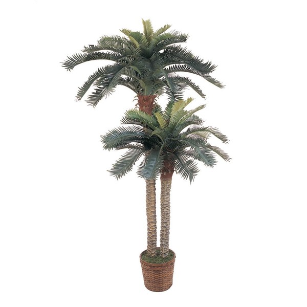 Nearly Natural 5033 6ft. & 4ft. Sago Palm Double Potted