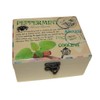 Aromatherapy Essential Oil Box (Design D: Holds 12 Bottles)