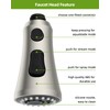 Hygie Rinse Universal Kitchen Faucet Head Replacement - 2.5GPM with