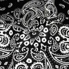kakatrend Bandana, Paisley, Stylish, 100% Cotton, Triangular Width, Adult, Handkerchief,