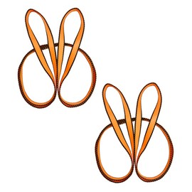 FORBELL Nylon Climbing Sling, 18 mm Nylon Sling Runner for Climbing, Swing, Tree Work, Outdoor Activities (60 cm, Orange (Pack of 2)