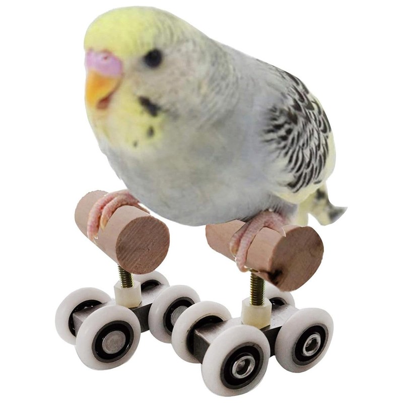 AIMALL Parrot Training Toy Pulley Skateboard for Small Birds |