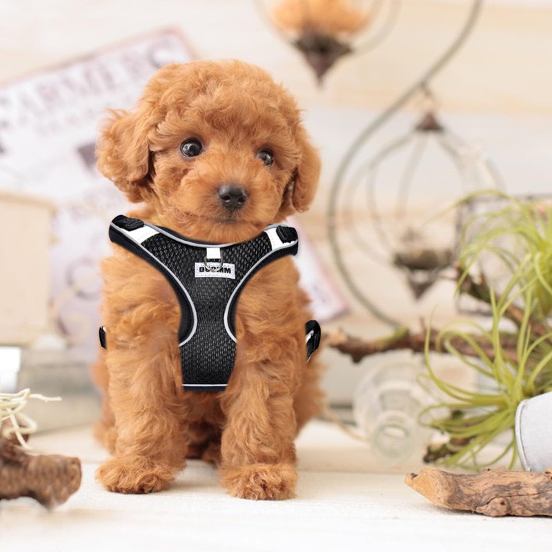 RAFIYU Dog Harness Medium Breathable Vest, Step-in Cat Puppy Harness