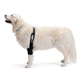 Ortocanis - Elbow Support for Dogs with Osteoarthritis, Injuries, Hygroma or Bursitis, Medium, Right Leg