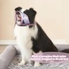 Dog Muzzle, 1 Muzzle for Dogs, Soft Nylon Print Muzzle