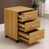 TBWHL 4 Pcs - Zinc Alloy Drawer Lock with Keys,