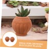 CAXUSD 2pc Mini Clay Pots Set Handmade Flower Pots for