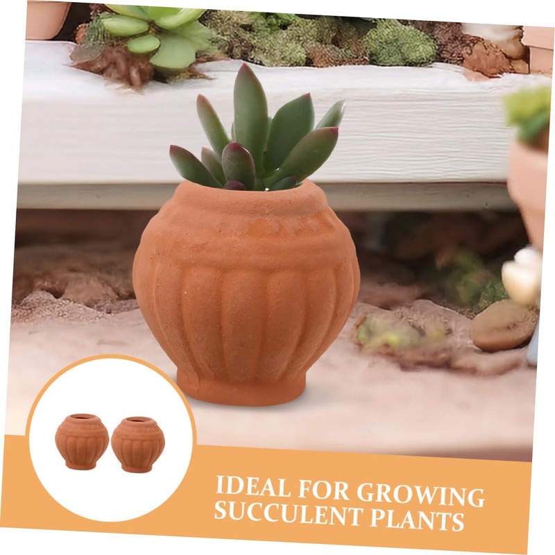 CAXUSD 2pc Mini Clay Pots Set Handmade Flower Pots for