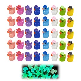 Nhemeylp 40 PCS Mini Resin Animals Mini Resin Ducks Luminous Ducks Wearing Hat Miniature Figures Glow in the Dark for DIY Garden Dollhouse Tiny Animal Toy Gifts Desk Tabletop Outdoor Craft Decoration