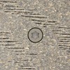 Headcote 8 x 2-1/2" - 31 Tan Gray - Stainless