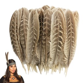 30PCS Natural Feathers for Crafting, 4.5-7 Inch Pheasant Feathers, Decorative Feather for Crafts DIY, Hat Feather Decorations Flower Arrangement Clothing Masks Ornamentation