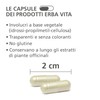 ERBA VITA Integratore Alimentare di Iperico - 60 Capsule, Utile