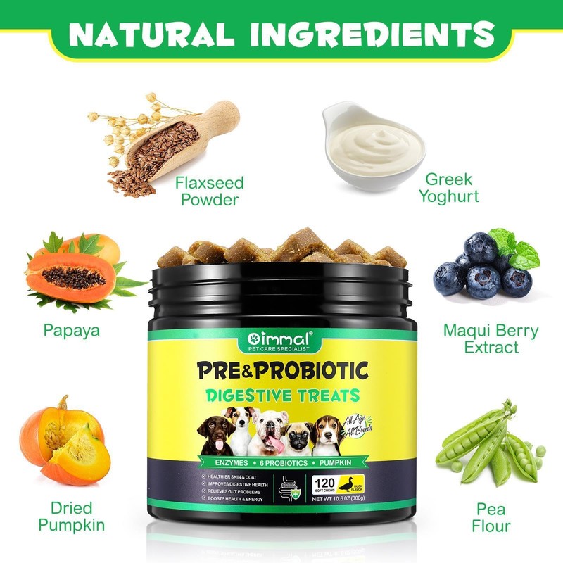 Probiotics for Dogs - Digestive Health and Immune Support, Dog