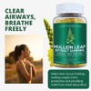 Mullein Gummies for Respiratory Wellness | 1000mg Per Serving |
