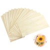 Balsa Wood Sheets,14 Pcs Lightweight Plywood Sheets 200x100x1.5mm Balsa Wood