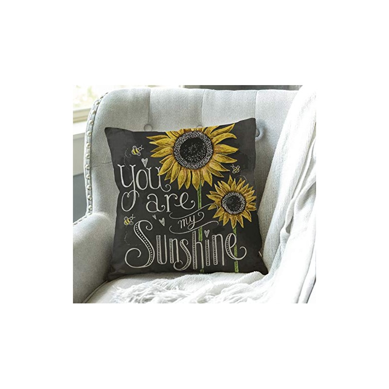 Swono You are My Sunshine Quote Throw Pillow Case Cushion