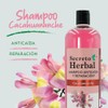 Shampoo de Cacahuananche, anticaída y reparación, Secreto Herbal. 1 litro