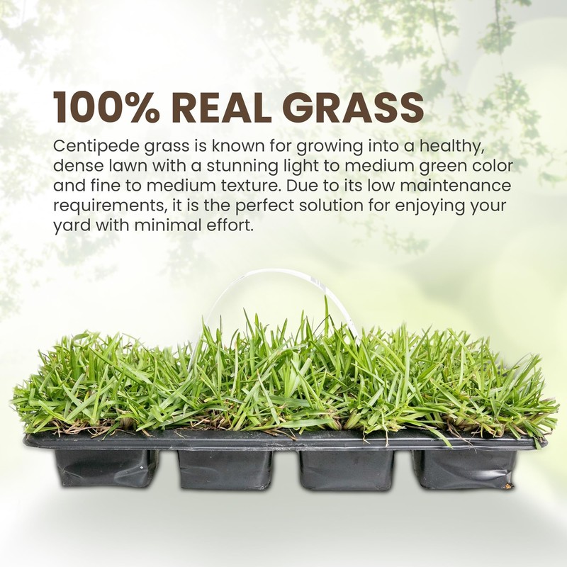 SodPods® Centipede Grass Plugs for Lawn Repair, 3" x 3"