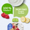 Gerber Purees Organic Banana Raspberry Yogurt Vanilla Toddler Pouch, 3.5