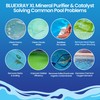 Blueray XL - XL Aqua Mineral Purifier & Catalyst™ for