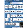 Fitness Poster - Upper Body Dumbbell Exercises