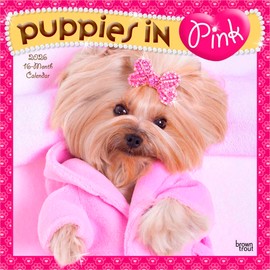Puppies in Pink | 2026 12 x 24 Inch (Hanging) Monthly Square Wall Calendar | Plastic-Free | BrownTrout | Animals Fun Humor Pets