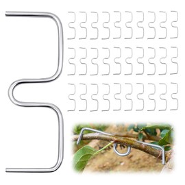 Pack of 30 Branch Separators for Fruit Trees, M Shaped Fruit Tree Branch Clip 10 cm Branch Puller Branch Separator for Fruit Trees, Branch Bending Tool for Shaping Fruit Tree Branches