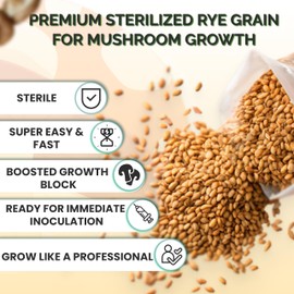 MycoHaus Mushroom Growing Kit with Injection Ports | Sterilized Rye Grain | Magic Indoor Grow Bags for Mushrooms | Home Cultivation Supplies | Without Spores | Four Pound | (1 Pack)