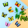 Butterfly Push Pins - Colourful Push Pins Push Pins Push