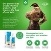 iCF Clorexyderm® Shampoo 4% für Hunde und Katzen - 250