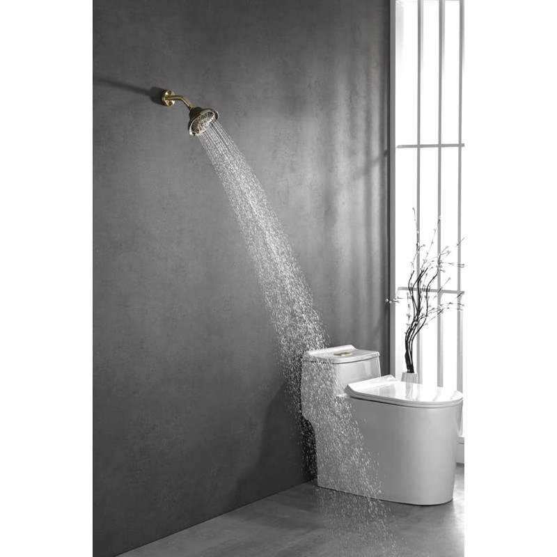 Rainovo 6 Spray Settings High Pressure Shower Head 5" Rain