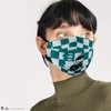Cinereplicas Reusable Fabric Barrier Mask - Slytherin - Adult -